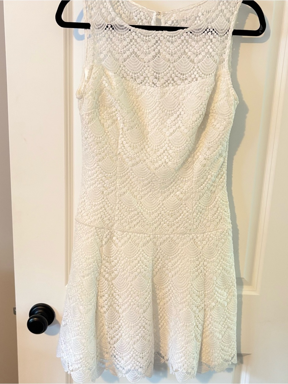 White House Black Market Ivory Lace Sleeveless Fit-and-Flare Mini Dress